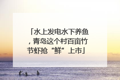 水上发电水下养鱼，青岛这个村百亩竹节虾抢“鲜”上市