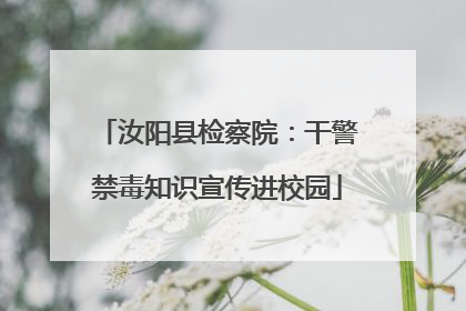汝阳县检察院：干警禁毒知识宣传进校园