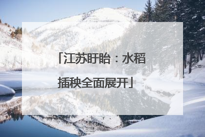 江苏盱眙：水稻插秧全面展开