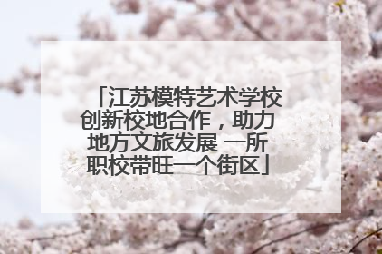 江苏模特艺术学校创新校地合作，助力地方文旅发展 一所职校带旺一个街区