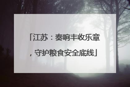江苏：奏响丰收乐章，守护粮食安全底线