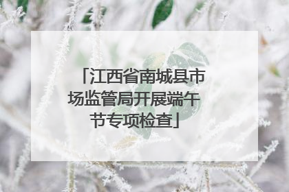 江西省南城县市场监管局开展端午节专项检查