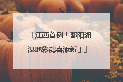 江西首例！鄱阳湖湿地彩鹮喜添新丁