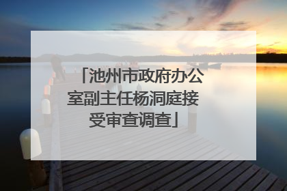 池州市政府办公室副主任杨洞庭接受审查调查