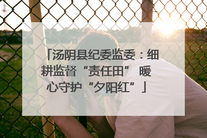 汤阴县纪委监委：细耕监督“责任田” 暖心守护“夕阳红”