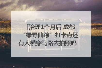 治理1个月后 成都“绿野仙踪”打卡点还有人横穿马路去拍照吗？｜民情瞭望