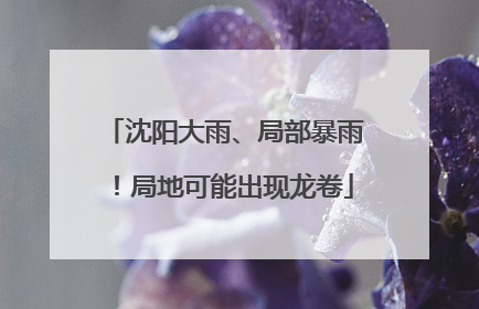 沈阳大雨、局部暴雨！局地可能出现龙卷