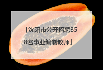 沈阳市公开招聘358名事业编制教师