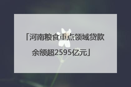 河南粮食重点领域贷款余额超2595亿元