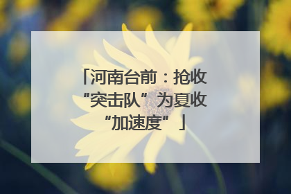 河南台前：抢收“突击队”为夏收“加速度”