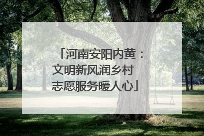 河南安阳内黄：文明新风润乡村 志愿服务暖人心