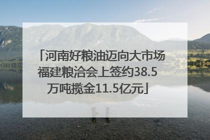 河南好粮油迈向大市场 福建粮洽会上签约38.5万吨揽金11.5亿元
