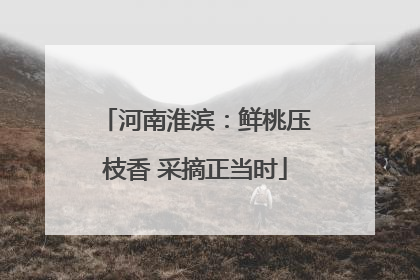 河南淮滨：鲜桃压枝香 采摘正当时
