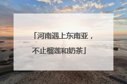 河南遇上东南亚，不止榴莲和奶茶