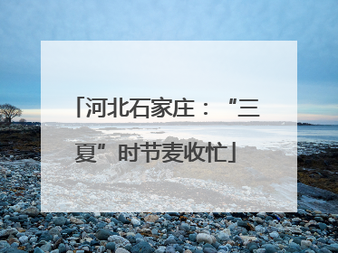 河北石家庄：“三夏”时节麦收忙