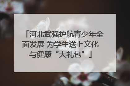河北武强护航青少年全面发展 为学生送上文化与健康“大礼包”