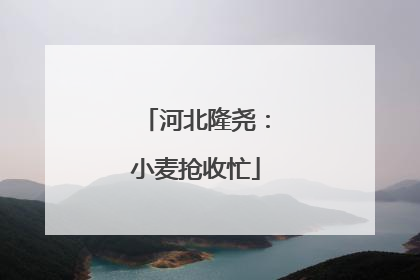 河北隆尧：小麦抢收忙