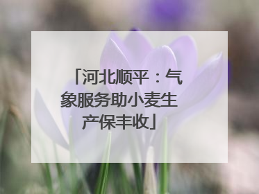 河北顺平：气象服务助小麦生产保丰收