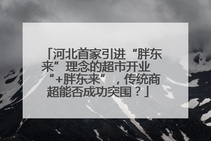河北首家引进“胖东来”理念的超市开业 “+胖东来”，传统商超能否成功突围？