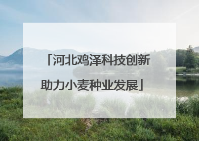 河北鸡泽科技创新助力小麦种业发展