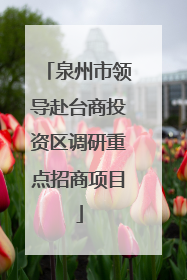 泉州市领导赴台商投资区调研重点招商项目