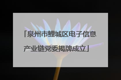 泉州市鲤城区电子信息产业链党委揭牌成立