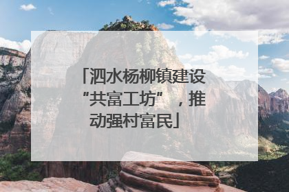 泗水杨柳镇建设“共富工坊”，推动强村富民