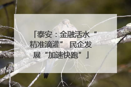 泰安：金融活水“精准滴灌” 民企发展“加速快跑”