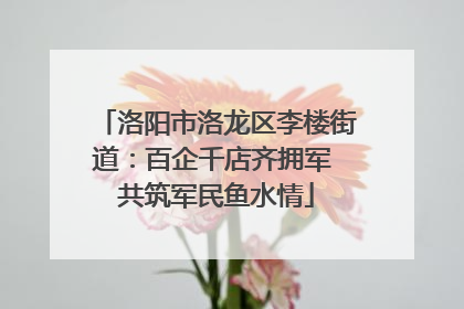 洛阳市洛龙区李楼街道：百企千店齐拥军 共筑军民鱼水情
