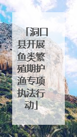 洞口县开展鱼类繁殖期护渔专项执法行动