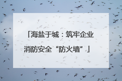 海盐于城：筑牢企业消防安全“防火墙”