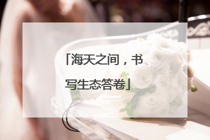 海天之间，书写生态答卷
