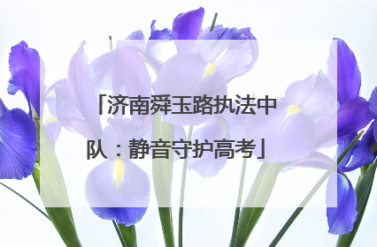 济南舜玉路执法中队：静音守护高考