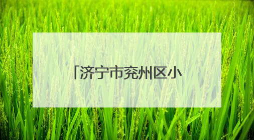 济宁市兖州区小孟镇“三夏”工作平稳有序进行
