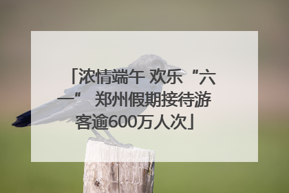 浓情端午 欢乐“六一” 郑州假期接待游客逾600万人次