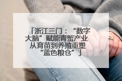 浙江三门：“数字大脑”赋能青蟹产业 从育苗到养殖重塑“蓝色粮仓”