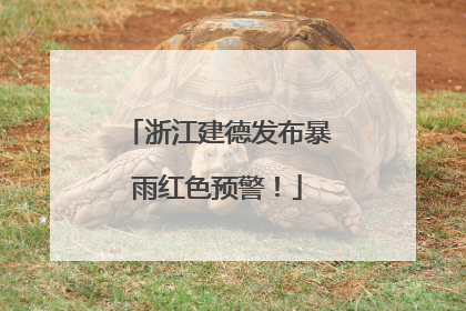 浙江建德发布暴雨红色预警！