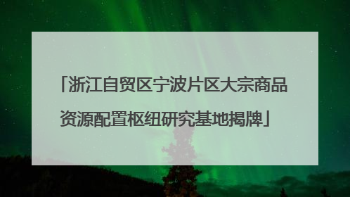 浙江自贸区宁波片区大宗商品资源配置枢纽研究基地揭牌