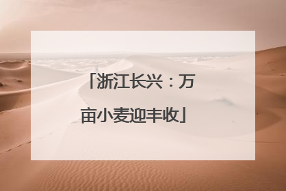 浙江长兴：万亩小麦迎丰收