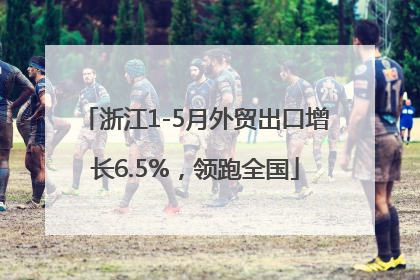 浙江1-5月外贸出口增长6.5%，领跑全国