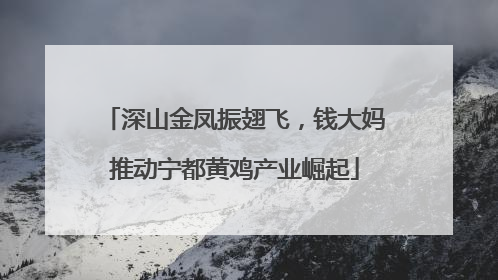 深山金凤振翅飞，钱大妈推动宁都黄鸡产业崛起