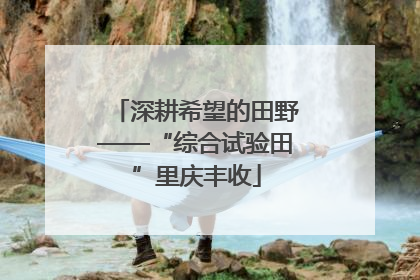 深耕希望的田野——“综合试验田”里庆丰收