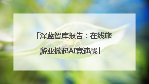 深蓝智库报告：在线旅游业掀起AI竞速战