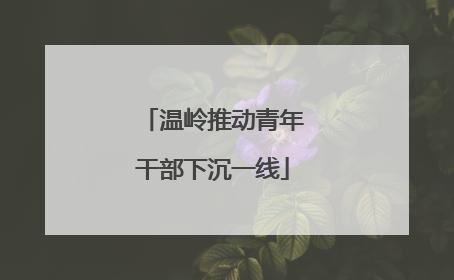 温岭推动青年干部下沉一线