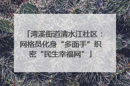 湾溪街道清水江社区：网格员化身“多面手”织密“民生幸福网”