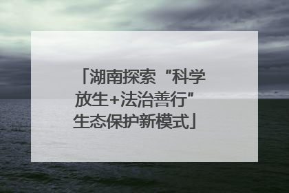 湖南探索“科学放生+法治善行”生态保护新模式