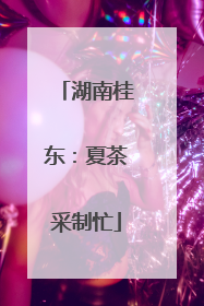 湖南桂东：夏茶采制忙