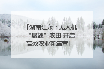 湖南江永：无人机“展翅”农田 开启高效农业新篇章