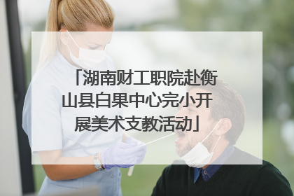 湖南财工职院赴衡山县白果中心完小开展美术支教活动