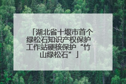 湖北省十堰市首个绿松石知识产权保护工作站硬核保护“竹山绿松石”